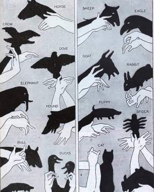 m shadow puppets.jpg